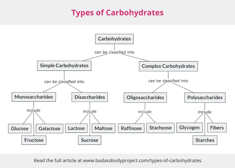 types of carbohydrates